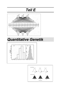 Womit beschäftigt sich die Quantitative Genetik