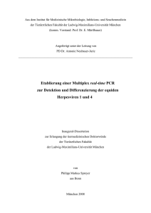 Etablierung einer Multiplex real