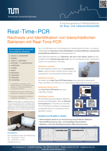 Real-Time-PCR - Forschungszentrum Weihenstephan für Brau