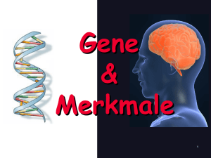 gene und merkmale 2011b