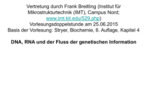 Biochemie_Breitling_DNA