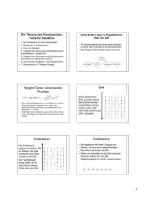 Wright-Fisher: binomischer Prozess Koaleszenz Koaleszenz