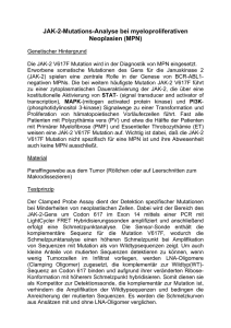 JAK-2-Mutations-Analyse bei myeloproliferativen Neoplasien (MPN)