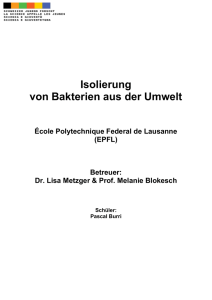 Isolierung von Bakterien aus der Umwelt