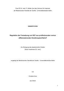 Regulation der Freisetzung von SCF aus proliferierenden