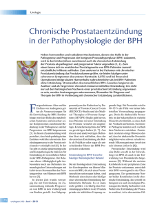 Chronische Prostataentzündung in der Pathophysiologie der BPH