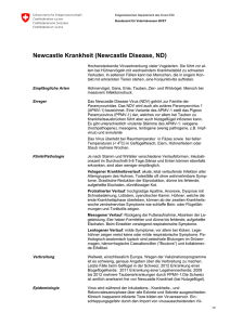 Newcastle Krankheit (Newcastle Disease, ND)