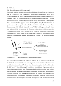 35 5 Diskussion 5.1 Bestrahlung und Aktivierung von p53