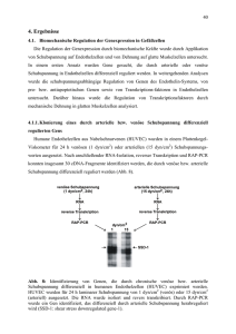 4. Ergebnisse - Online-Hochschulschriften der Universität Halle