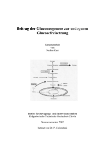 Beitrag der Gluconeogenese zur endogenen Glucosefreisetzung