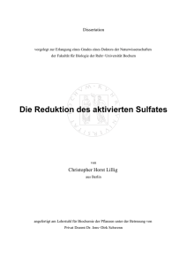 Die Reduktion des aktivierten Sulfates - Ruhr