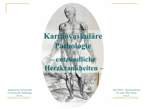 Kardiovaskuläre Pathologie