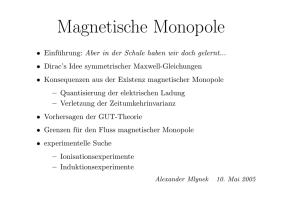 Magnetische Monopole