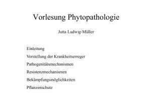 Vorlesung Phytopathologie