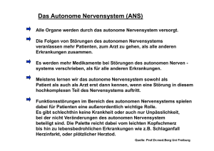 Das Autonome Nervensystem (ANS)