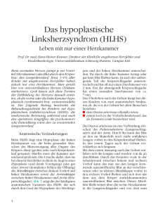 Das hypoplastische Linksherzsyndrom (HLHS)