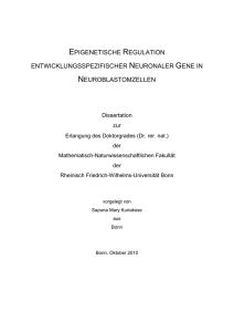 EPIGENETISCHE REGULATION ENTWICKLUNGSSPEZIFISCHER