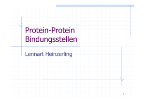 Protein-Protein