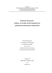 Pulmonale Hypertonie - Einfluss von Paxillin auf die Regulation der