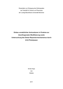 Einbau unnatürlicher Aminosäuren in Proteine zur bioorthogonalen