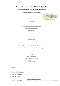 Proteinchemische und molekularbiologische Charakterisierung der