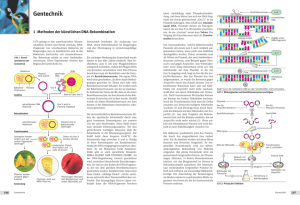 Methoden der künstlichen DNA-Rekombination