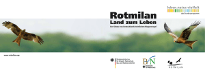 Broschüre - Rotmilan – Land zum Leben