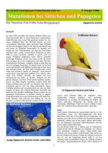 Mutationen bei Sittichen und Papageien - AZ