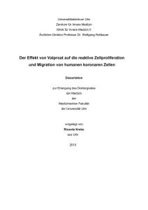 Der Effekt von Valproat auf die reaktive Zellproliferation und