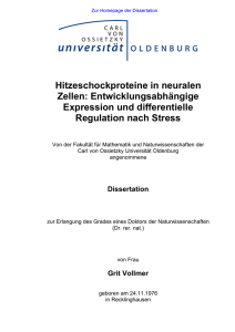 Hitzeschockproteine in neuralen Zellen: Entwicklungsabh&auml;ngige