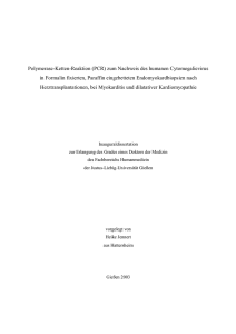 Polymerase-Ketten-Reaktion (PCR) zum Nachweis des humanen