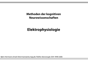 Elektrophysiologie - Max-Planck-Institut für Kognitions