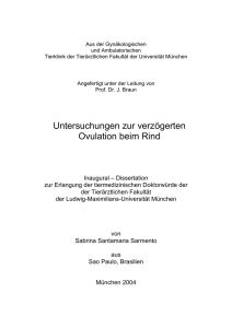 Untersuchungen zur verzögerten Ovulation beim Rind