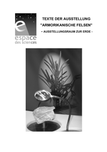 TEXTE DER AUSSTELLUNG "ARMORIKANISCHE FELSEN"