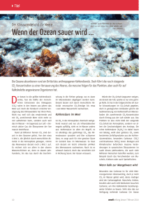 Wenn der Ozean sauer wird - Umweltzentrum Braunschweig