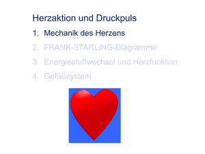 Herzaktion und Druckpuls