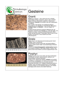 Gesteinsbestimmung Granit