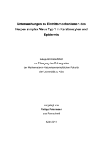 Diplomarbeit im Fachbereich Biologie