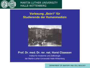 Vorlesung Bein (Prof. Claassen) - Medizinische Fakultät der Martin
