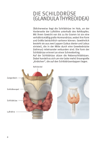 DIE SchIlDDrÜSE