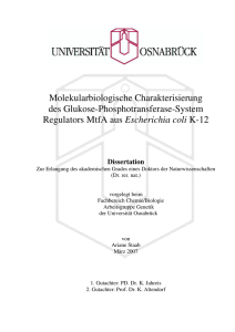 Molekularbiologische Charakterisierung des Glukose