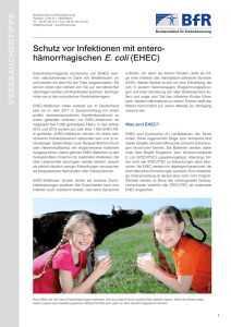 Schutz vor Infektionen mit enterohämorrhagischen E. coli (EHEC)