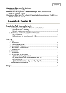 3. Abschnitt: Kurstag 12