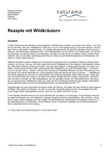 Rezepte mit Wildkräutern