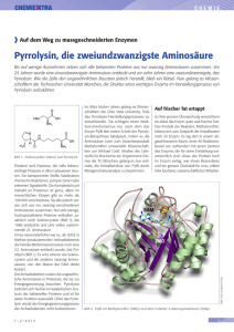 Pyrrolysin, die zweiundzwanzigste Aminosäure