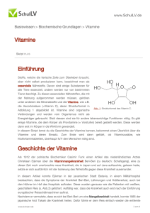 Vitamine Einführung Geschichte der Vitamine