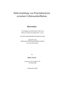 Haftvermittlung von Polyelektrolyten zwischen Celluloseoberflächen