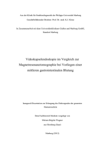 PDF-Volltext - Publikationsserver UB Marburg