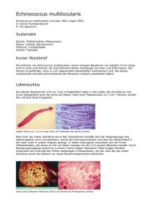 Echinococcus multilocularis - Infektionsbiologie und Epidemiologie