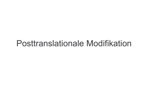 Posttranslationale Modifikation
